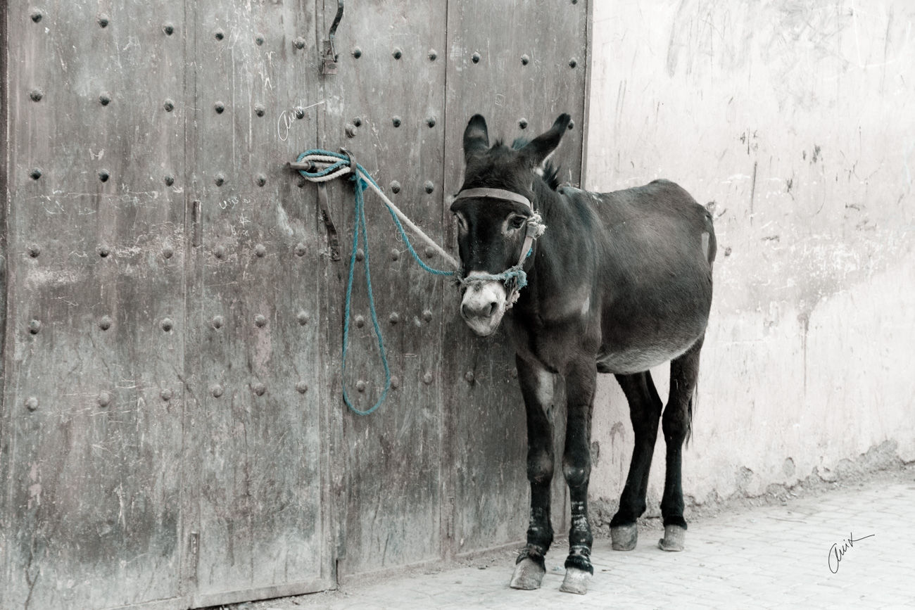 fotografia-social-sevilla-fotoevento-anacuesta