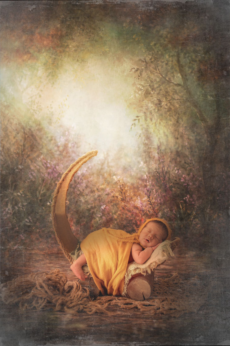 fotografia infantil de fine art recien nacido