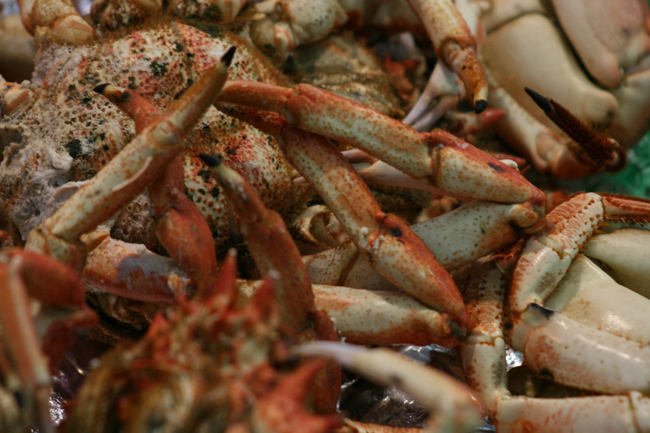 fotografia-productos-comercial-sevilla-fotoevento-anacuesta