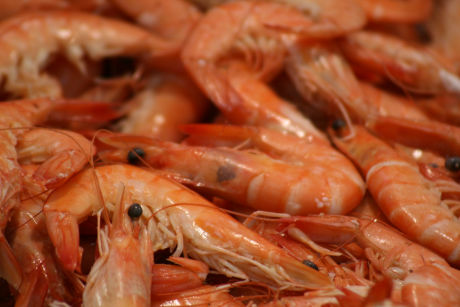 fotografia-productos-comercial-sevilla-fotoevento-anacuesta