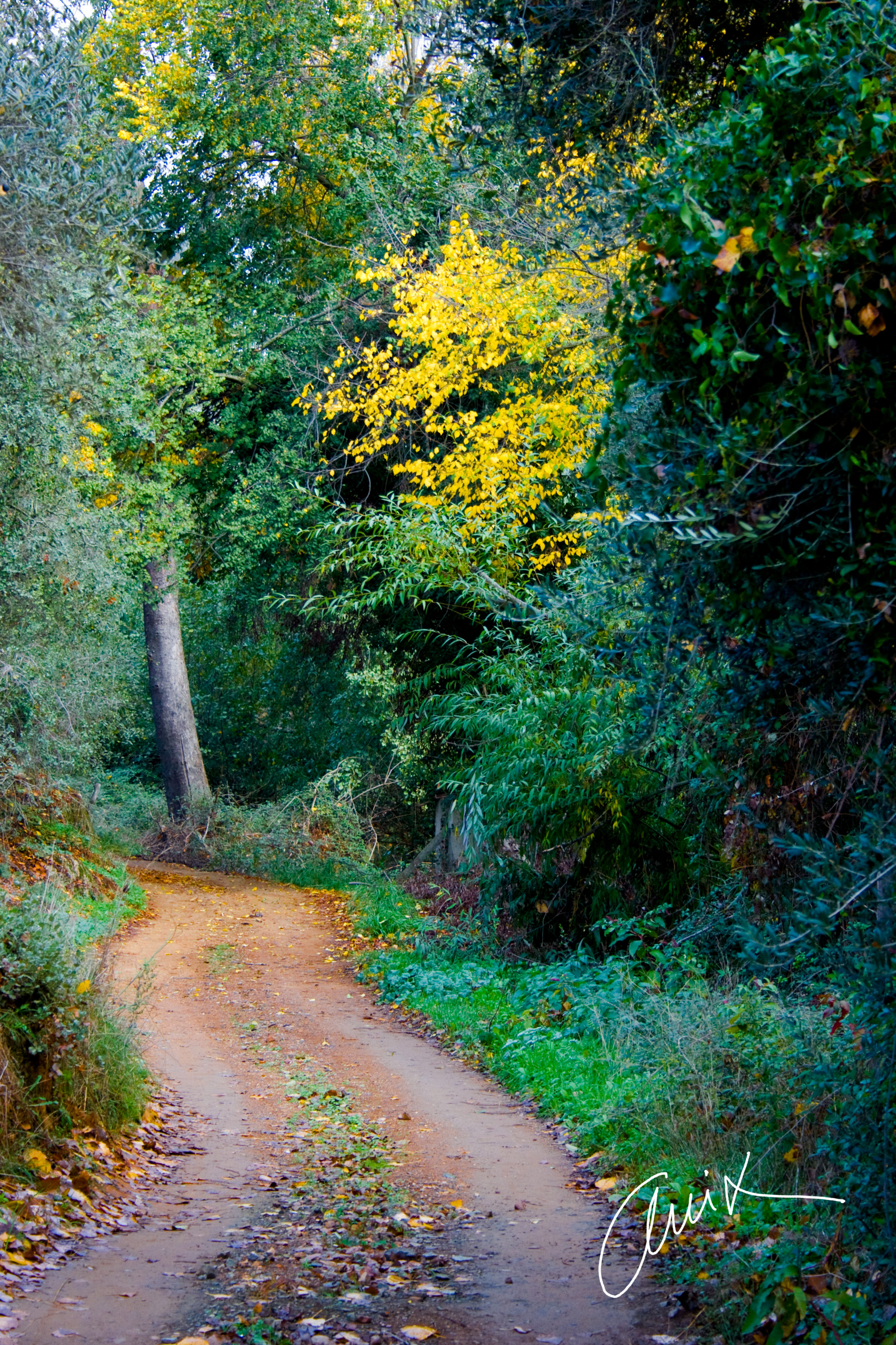fotografia-social-sevilla-fotoevento-anacuesta